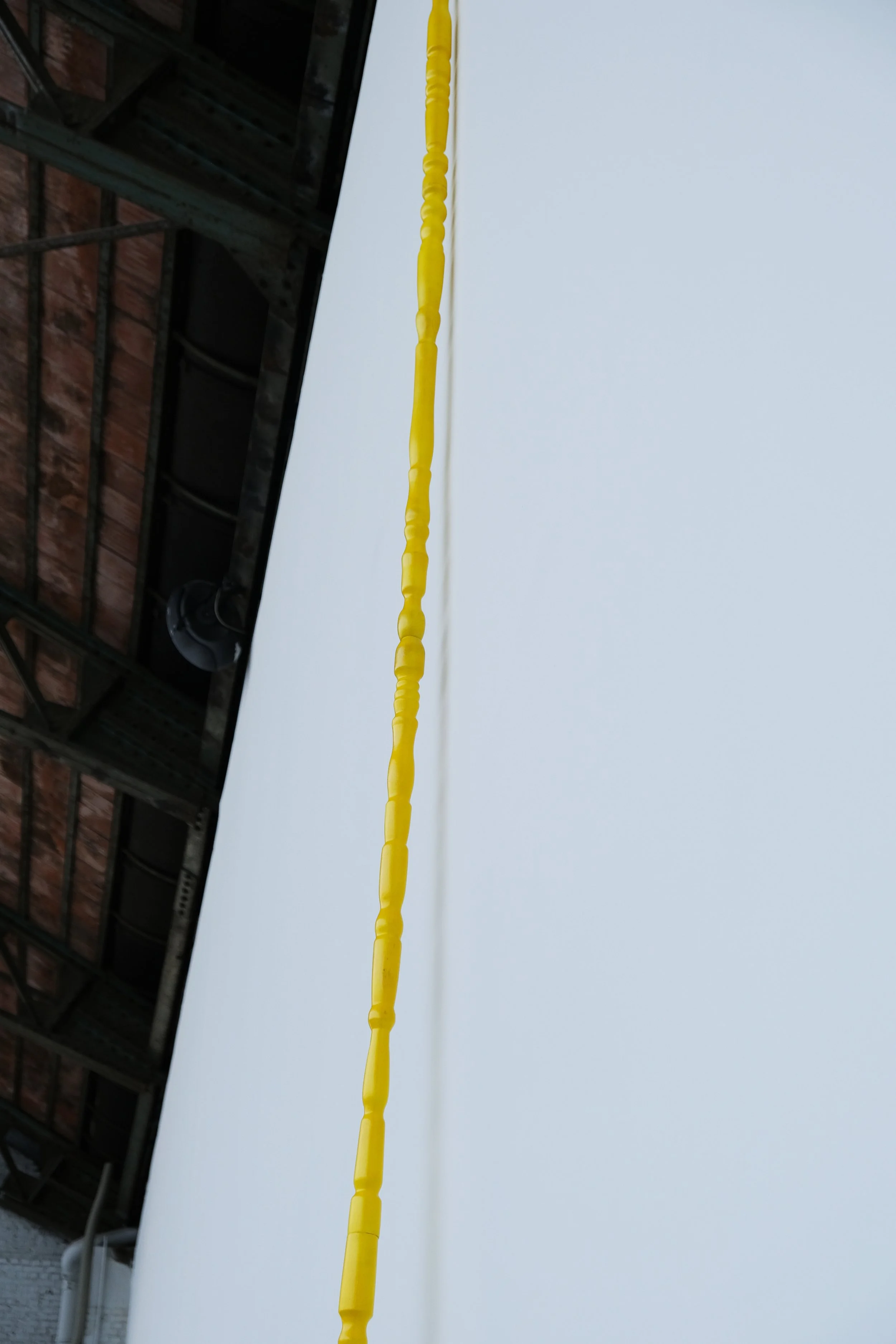 Trust, Yellow — image 4